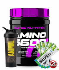 PROMO STACK Scitec Amino 5600 + Creatine + Shaker
